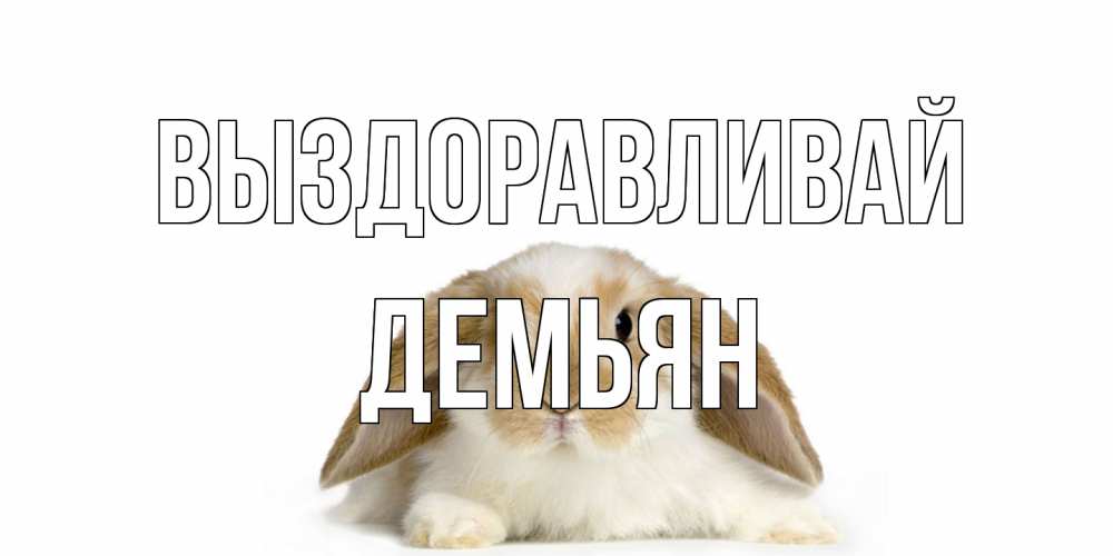 Открытка на каждый день с именем, Демьян Выздоравливай вислоухий кролик белого и коричневого цвета Прикольная открытка с пожеланием онлайн скачать бесплатно 