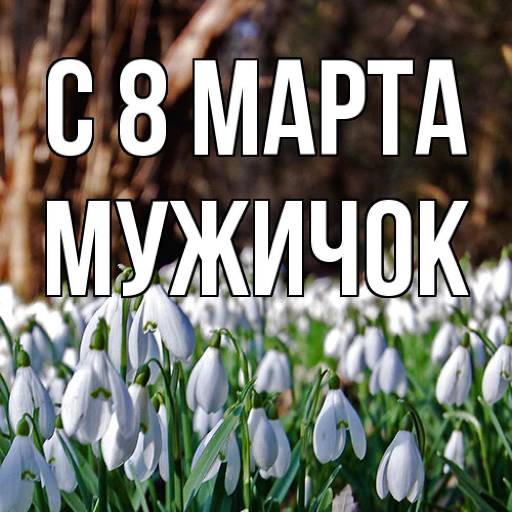 Открытка на каждый день с именем, Мужичок C 8 МАРТА с подснежниками 1 Прикольная открытка с пожеланием онлайн скачать бесплатно 
