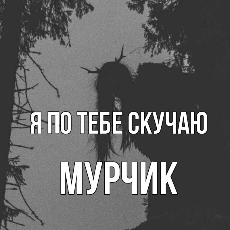Картинка Я по тебе скучаю, Мурчик