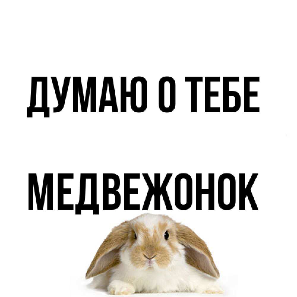 Открытка на каждый день с именем, медвежонок Думаю о тебе подписать своими руками онлайн Прикольная открытка с пожеланием онлайн скачать бесплатно 