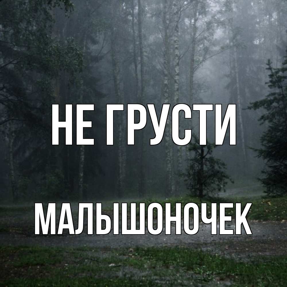 Открытка на каждый день с именем, Малышоночек Не грусти осень Прикольная открытка с пожеланием онлайн скачать бесплатно 