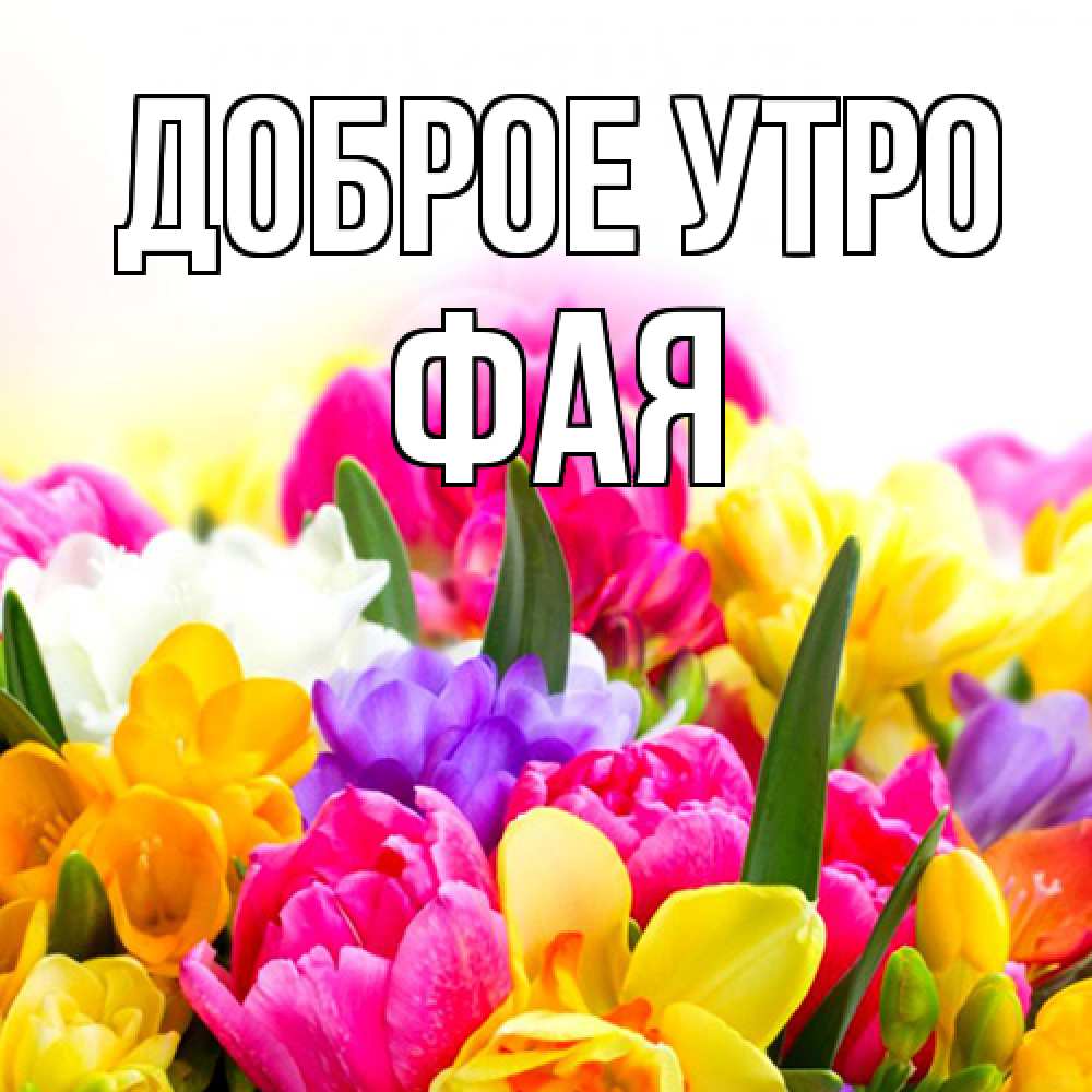 Открытка на каждый день с именем, Фая Доброе утро создать открытку со свое подписью Прикольная открытка с пожеланием онлайн скачать бесплатно 