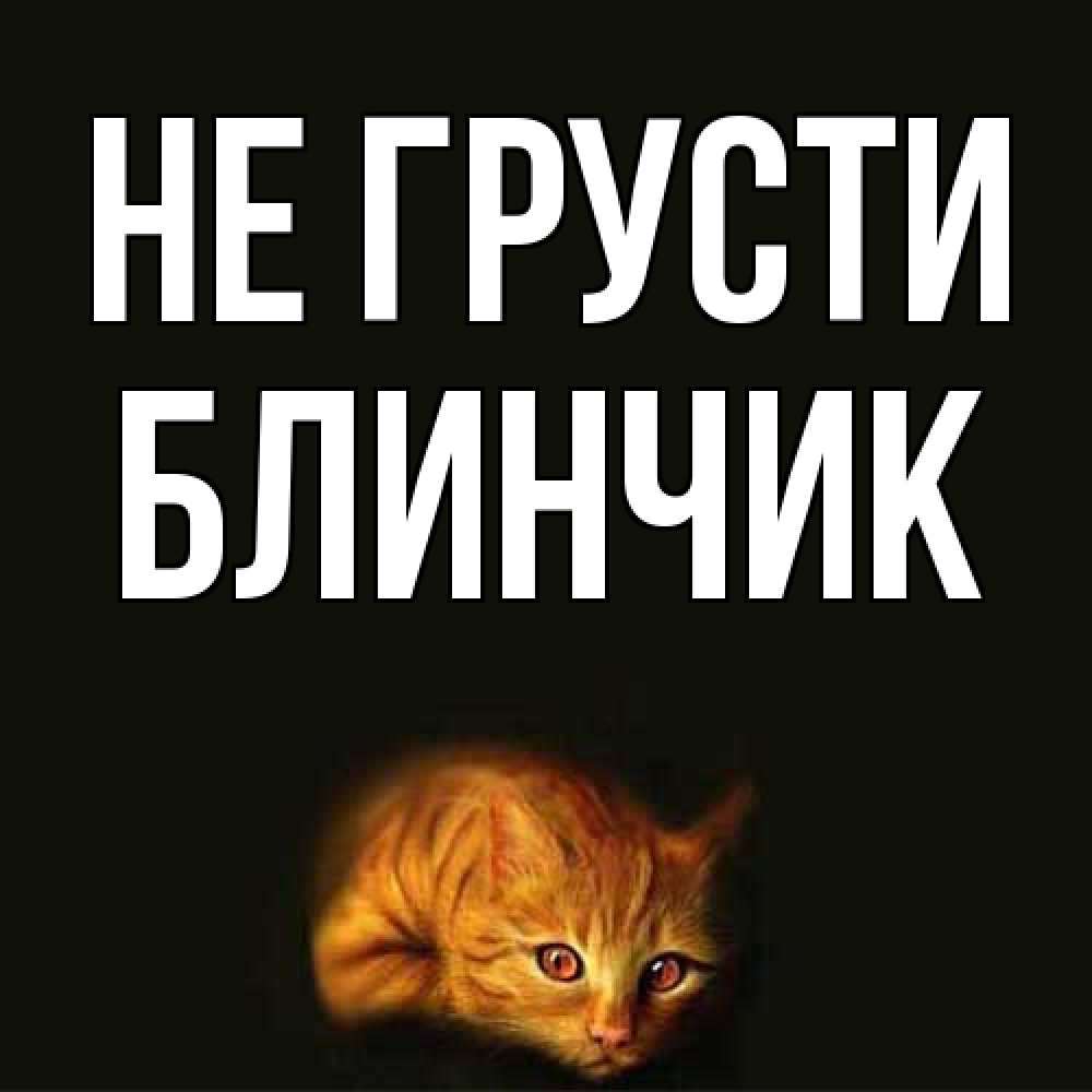 Открытка на каждый день с именем, Блинчик Не грусти лежащий кот в темноте Прикольная открытка с пожеланием онлайн скачать бесплатно 