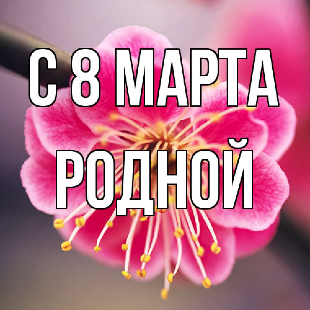 Открытка на каждый день с именем, Родной C 8 МАРТА цветы Прикольная открытка с пожеланием онлайн скачать бесплатно 