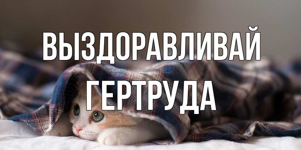 Открытка на каждый день с именем, Гертруда Выздоравливай не болейте с котиком Прикольная открытка с пожеланием онлайн скачать бесплатно 
