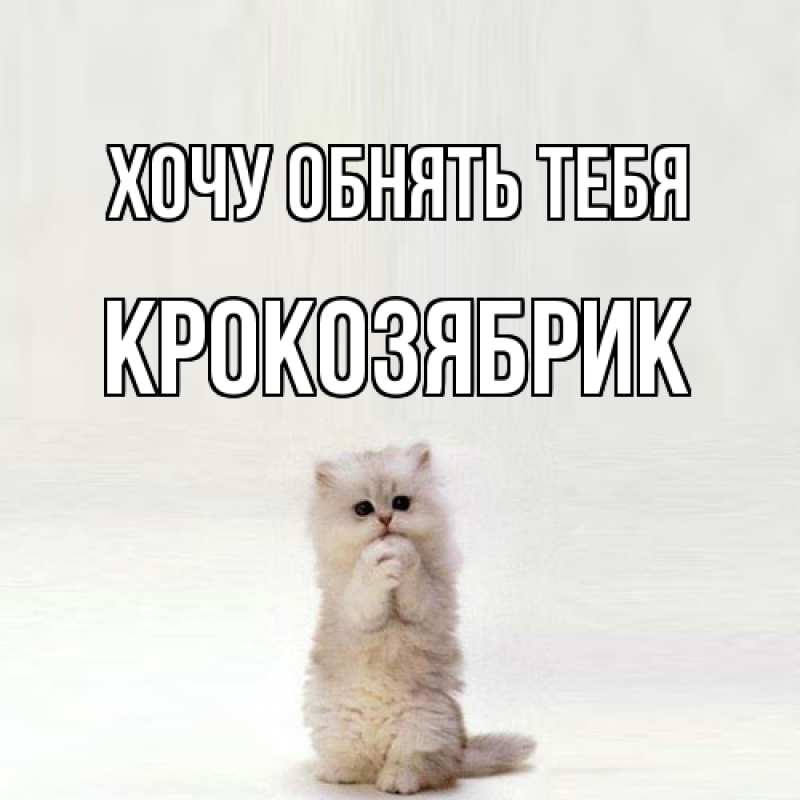 Картинка Хочу обнять тебя, крокозябрик