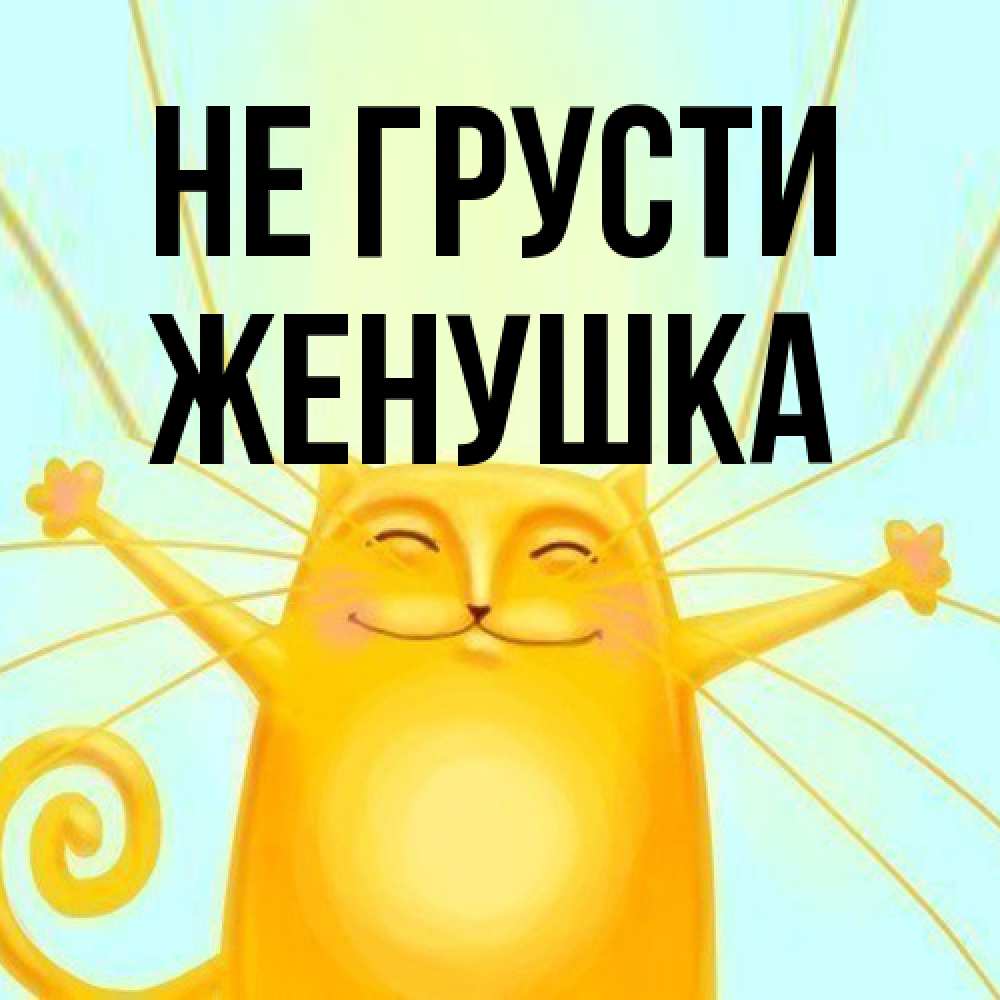 Открытка на каждый день с именем, женушка Не грусти обнимашки усатые Прикольная открытка с пожеланием онлайн скачать бесплатно 