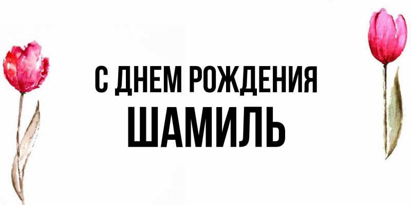Картинка С днем рождения, Шамиль