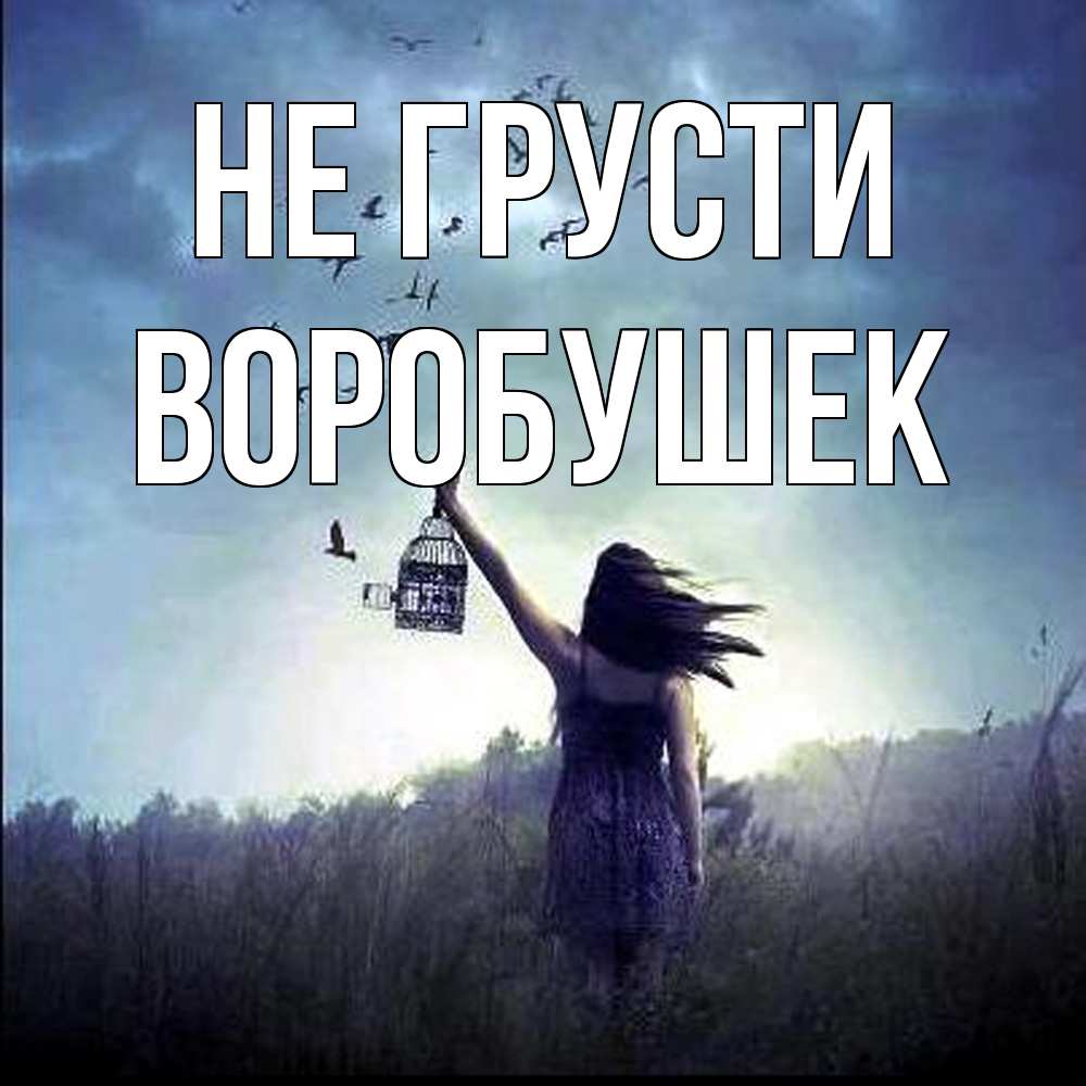 Открытка на каждый день с именем, Воробушек Не грусти на волю Прикольная открытка с пожеланием онлайн скачать бесплатно 