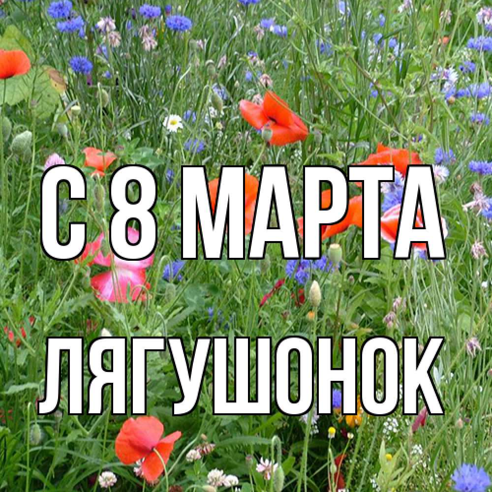 Открытка на каждый день с именем, лягушонок C 8 МАРТА международный женский день 4 Прикольная открытка с пожеланием онлайн скачать бесплатно 