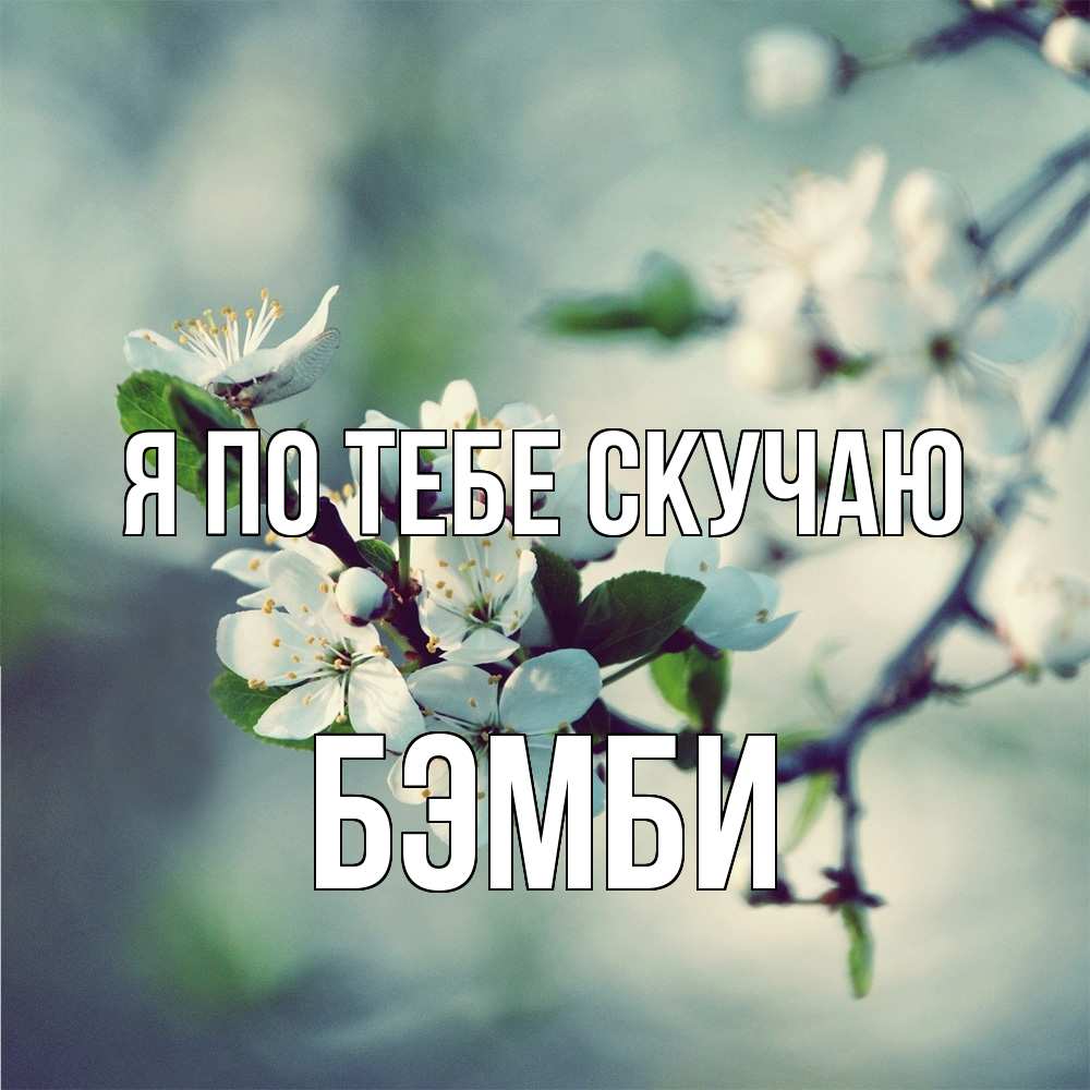 Открытка на каждый день с именем, Бэмби Я по тебе скучаю весна Прикольная открытка с пожеланием онлайн скачать бесплатно 