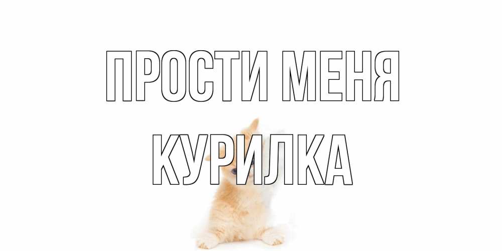 Открытка на каждый день с именем, Курилка Прости меня кот Прикольная открытка с пожеланием онлайн скачать бесплатно 