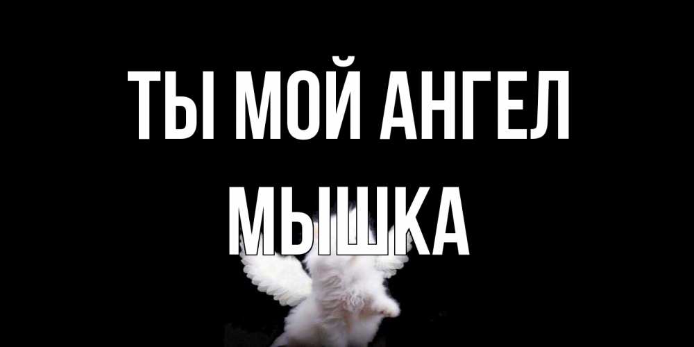 Открытка на каждый день с именем, Мышка Ты мой ангел Кот ангел Прикольная открытка с пожеланием онлайн скачать бесплатно 