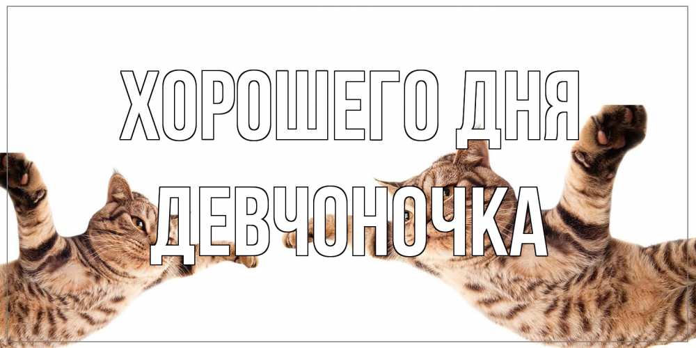 Открытка на каждый день с именем, девчоночка Хорошего дня хорошего дня Прикольная открытка с пожеланием онлайн скачать бесплатно 
