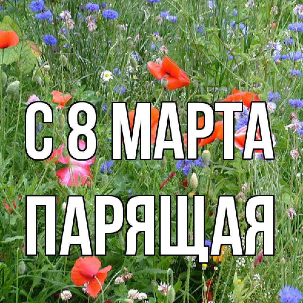 Открытка на каждый день с именем, Парящая C 8 МАРТА международный женский день 4 Прикольная открытка с пожеланием онлайн скачать бесплатно 