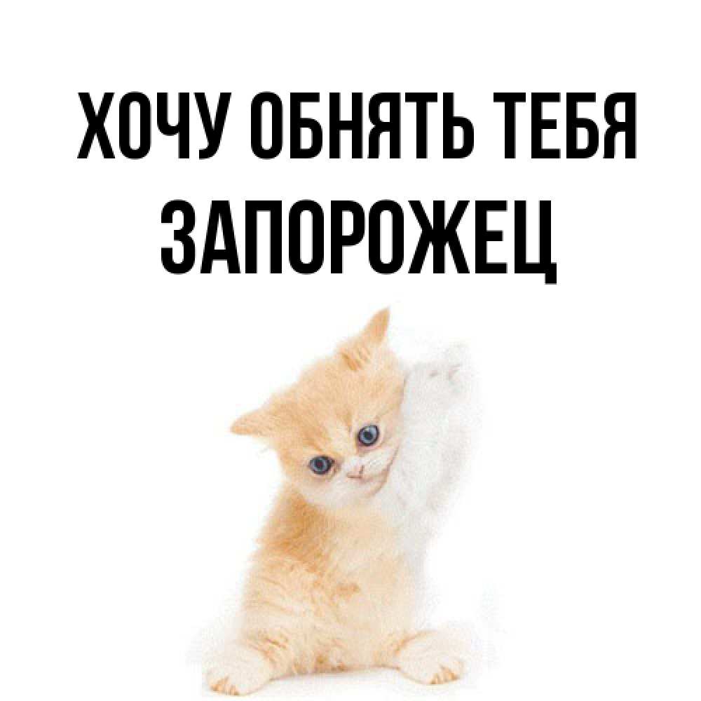 Открытка на каждый день с именем, Запорожец Хочу обнять тебя я хочу очень скорее обнимаешек Прикольная открытка с пожеланием онлайн скачать бесплатно 