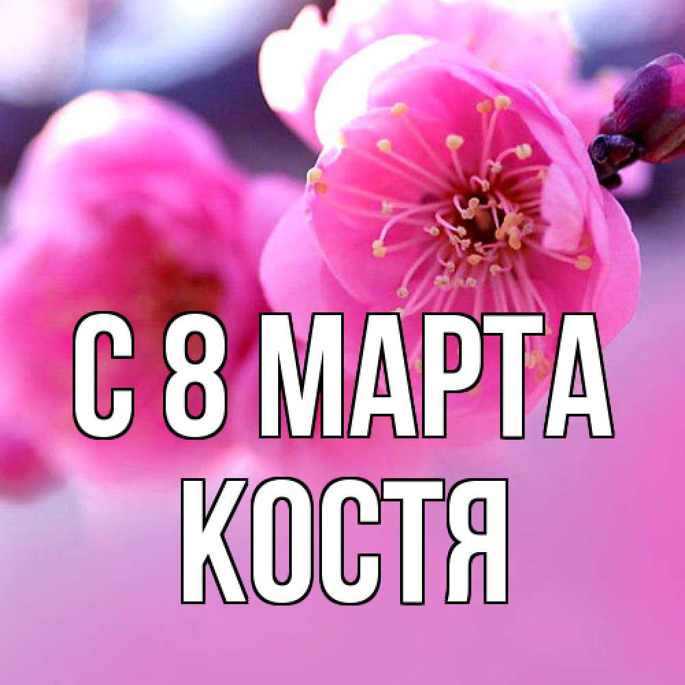 Открытка на каждый день с именем, Костя C 8 МАРТА международный женский день Прикольная открытка с пожеланием онлайн скачать бесплатно 