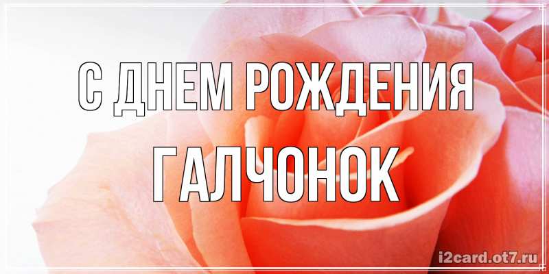 Картинка С днем рождения, галчонок
