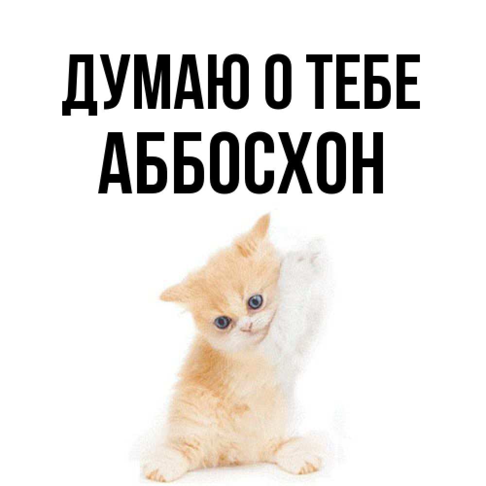 Открытка на каждый день с именем, Аббосхон Думаю о тебе зверушки и милота Прикольная открытка с пожеланием онлайн скачать бесплатно 
