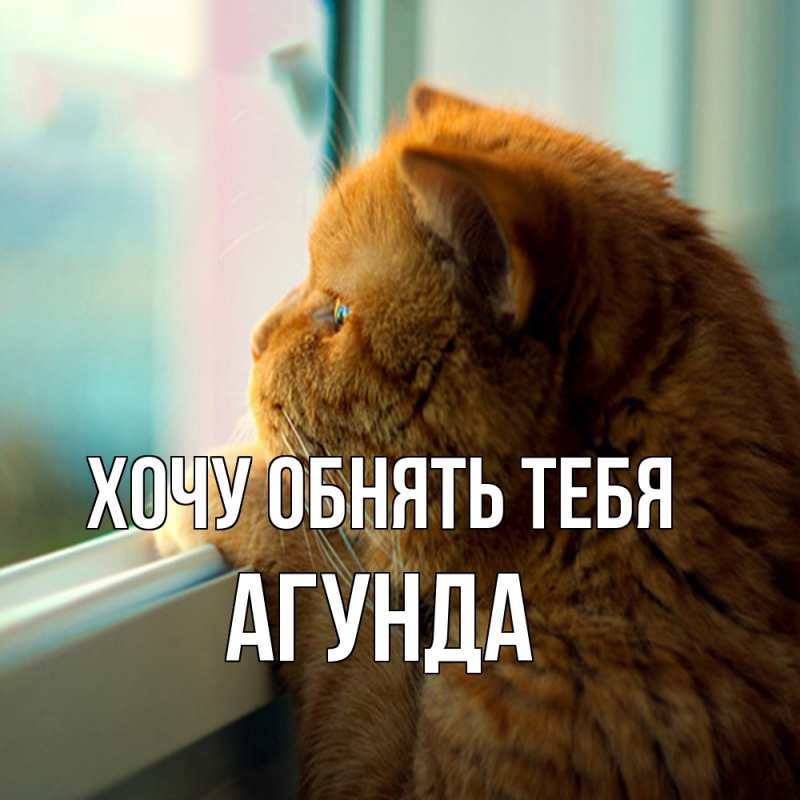 Картинка Хочу обнять тебя, Агунда