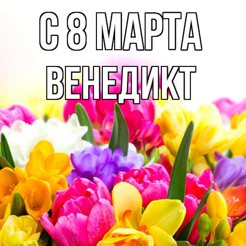 Открытка на каждый день с именем, Венедикт C 8 МАРТА тюльпаны Прикольная открытка с пожеланием онлайн скачать бесплатно 