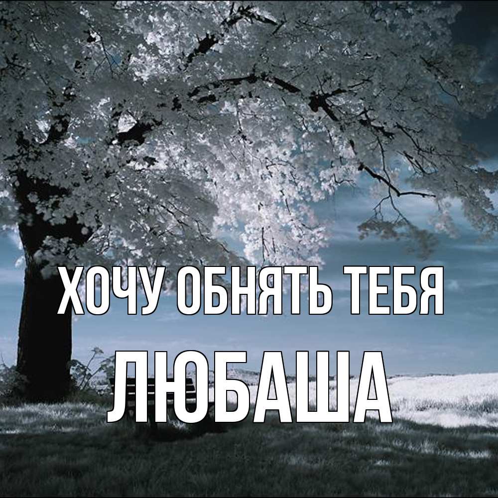 Открытка на каждый день с именем, Любаша Хочу обнять тебя дерево Прикольная открытка с пожеланием онлайн скачать бесплатно 