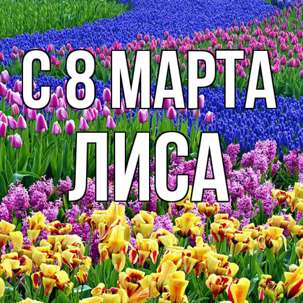 Открытка на каждый день с именем, лиса C 8 МАРТА цветы Прикольная открытка с пожеланием онлайн скачать бесплатно 