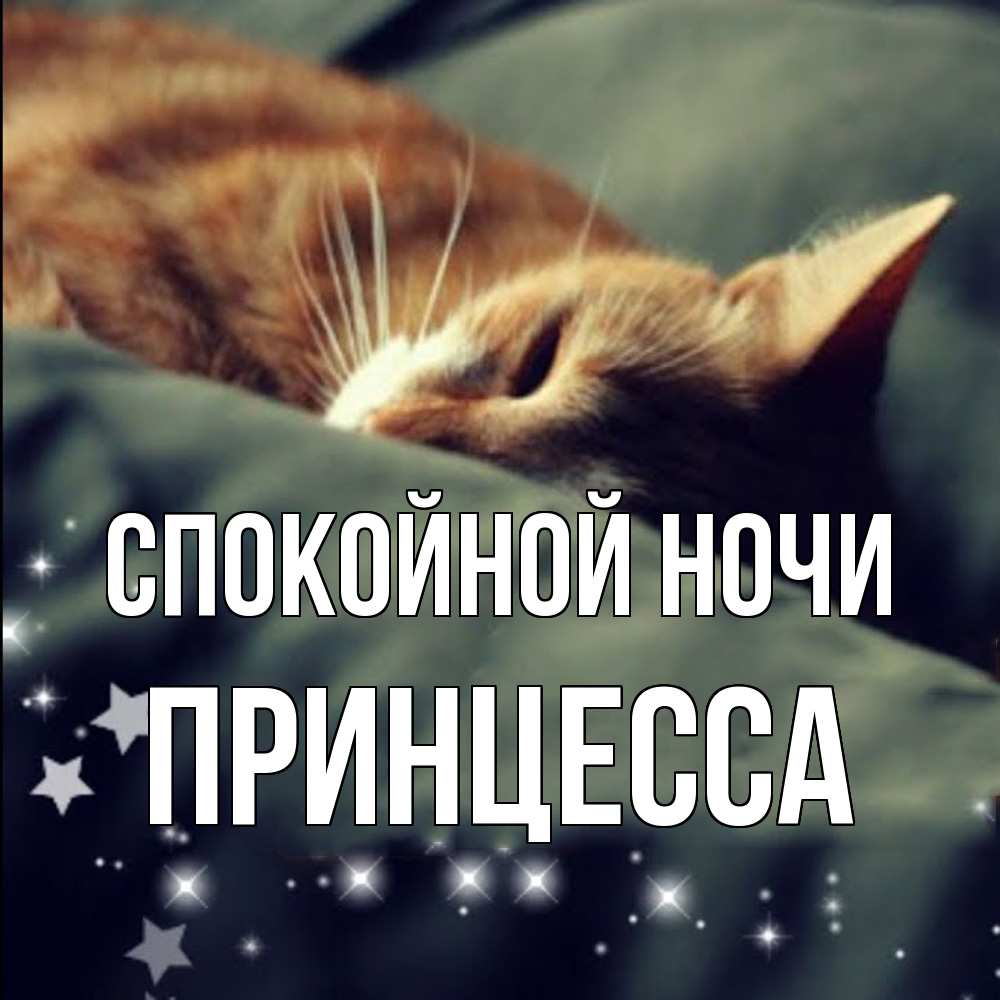 Открытка на каждый день с именем, Принцесса Спокойной ночи кроватка Прикольная открытка с пожеланием онлайн скачать бесплатно 