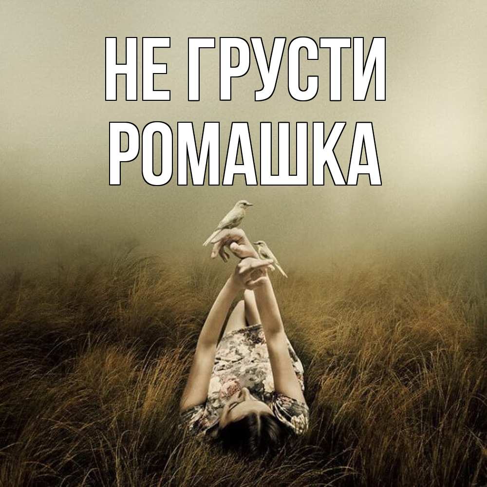 Открытка на каждый день с именем, Ромашка Не грусти поле и туман Прикольная открытка с пожеланием онлайн скачать бесплатно 