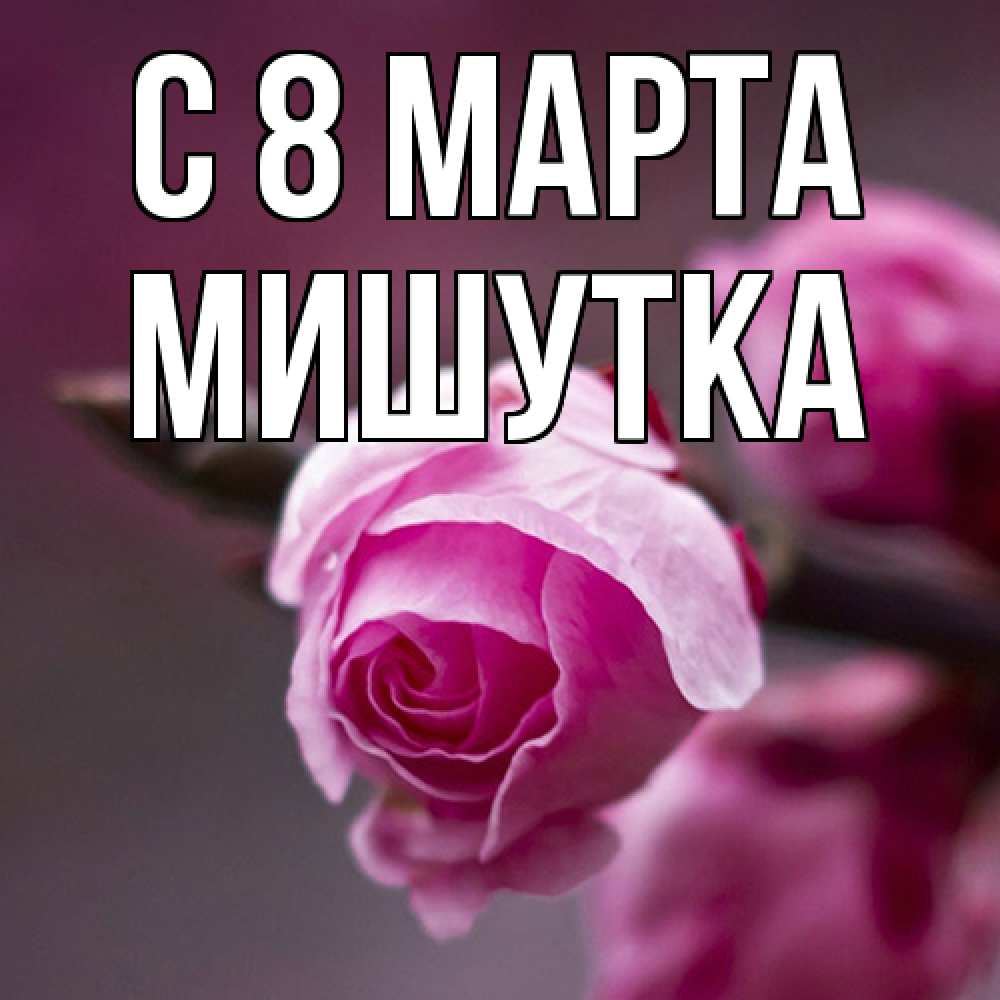 Открытка на каждый день с именем, Мишутка C 8 МАРТА весна Прикольная открытка с пожеланием онлайн скачать бесплатно 