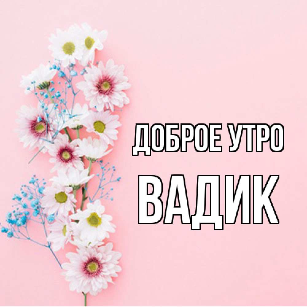 Открытка на каждый день с именем, Вадик Доброе утро цветы с подписью Прикольная открытка с пожеланием онлайн скачать бесплатно 