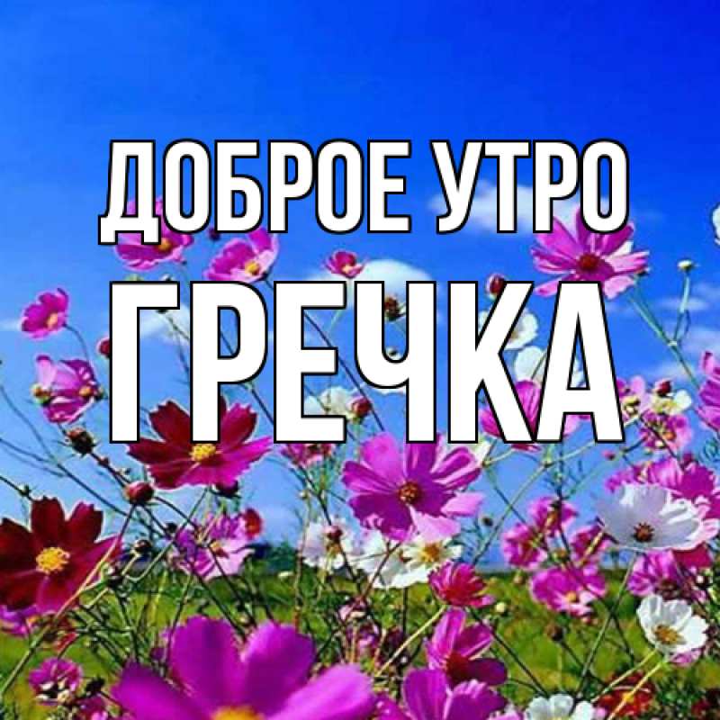 Картинка Доброе утро, Гречка
