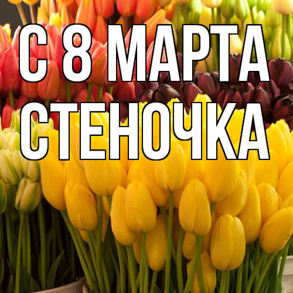 Открытка на каждый день с именем, Стеночка C 8 МАРТА цветы Прикольная открытка с пожеланием онлайн скачать бесплатно 