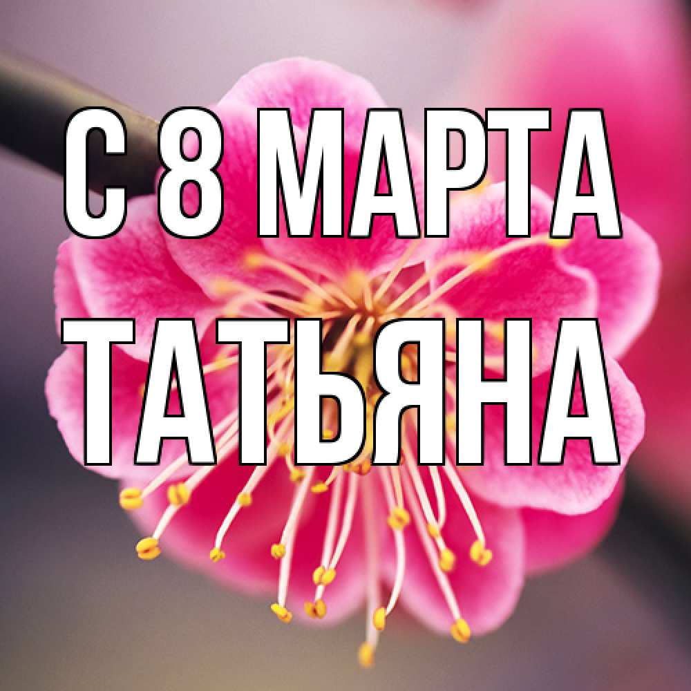 Открытка на каждый день с именем, Татьяна C 8 МАРТА цветы Прикольная открытка с пожеланием онлайн скачать бесплатно 