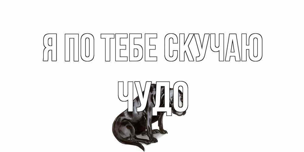 Открытка на каждый день с именем, Чудо Я по тебе скучаю я по тебе скучаю открытка с собакой Прикольная открытка с пожеланием онлайн скачать бесплатно 