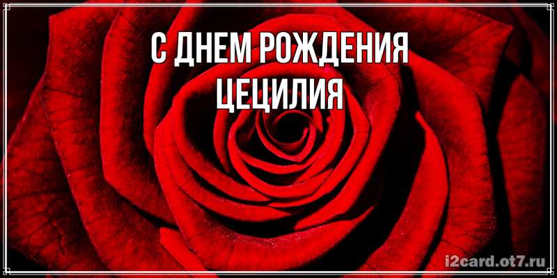 Картинка С днем рождения, Цецилия