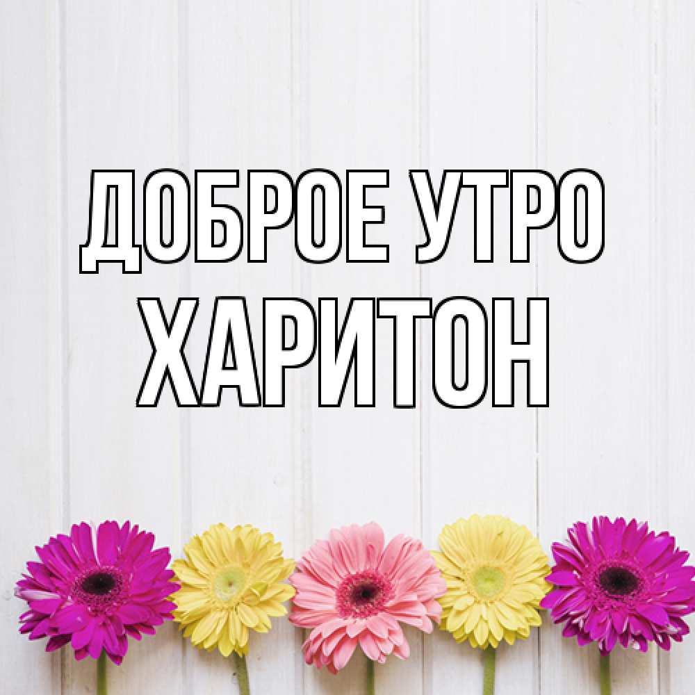 Открытка на каждый день с именем, Харитон Доброе утро красный желтый и розовый цветок Прикольная открытка с пожеланием онлайн скачать бесплатно 