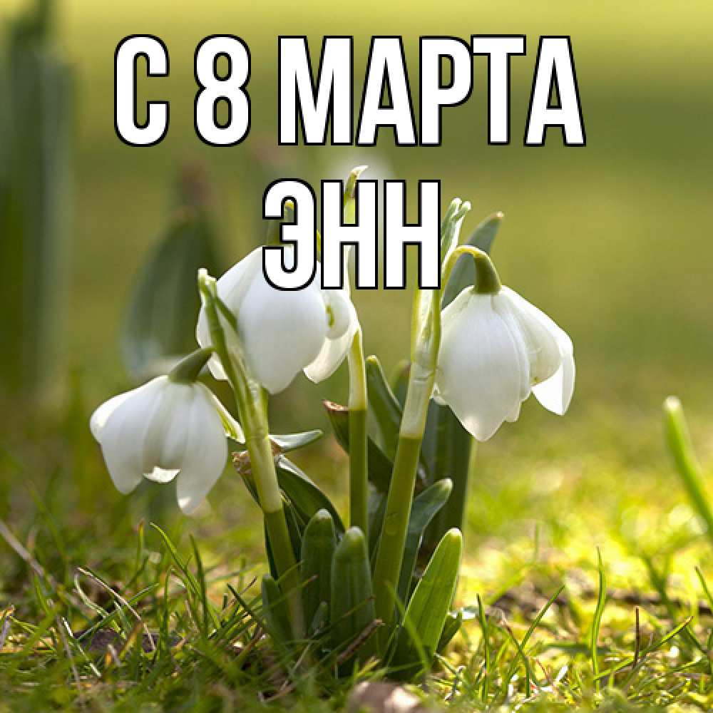Открытка на каждый день с именем, Энн C 8 МАРТА ранние цветы 2 Прикольная открытка с пожеланием онлайн скачать бесплатно 