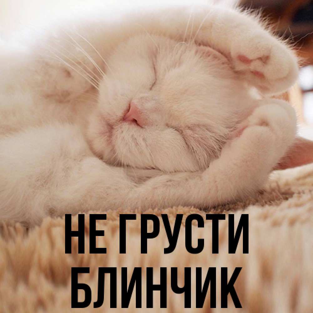 Открытка на каждый день с именем, Блинчик Не грусти Котенок спит Прикольная открытка с пожеланием онлайн скачать бесплатно 