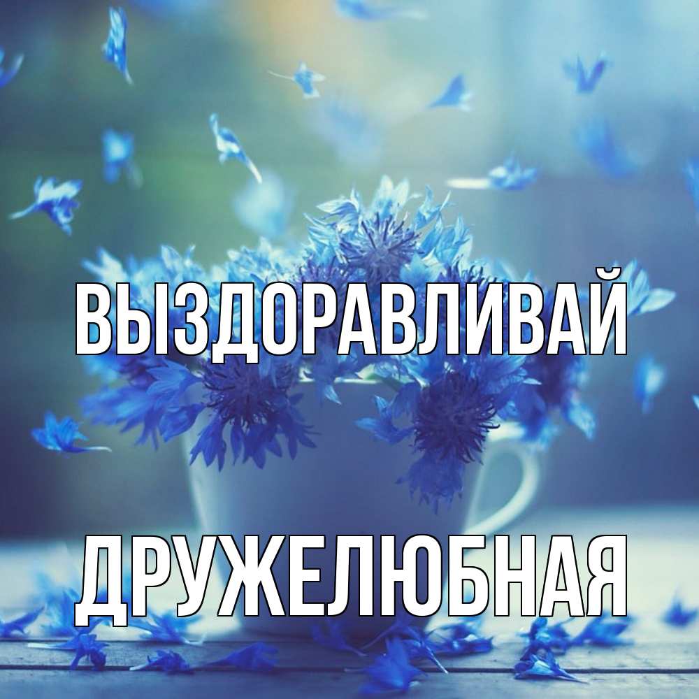 Открытка на каждый день с именем, Дружелюбная Выздоравливай кружка с зельем и цветами Прикольная открытка с пожеланием онлайн скачать бесплатно 