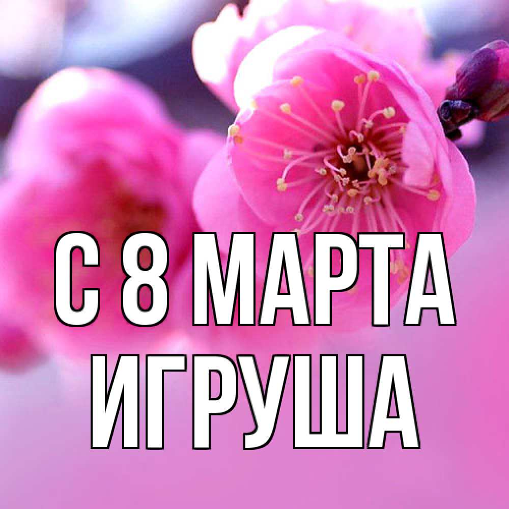 Открытка на каждый день с именем, Игруша C 8 МАРТА международный женский день Прикольная открытка с пожеланием онлайн скачать бесплатно 
