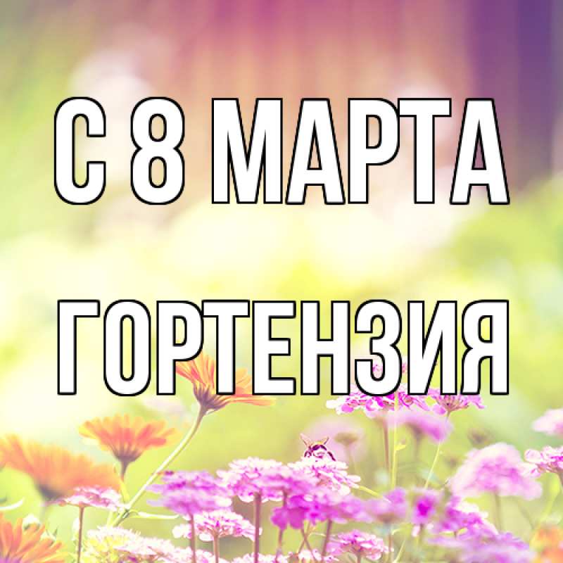 Картинка C 8 МАРТА, Гортензия