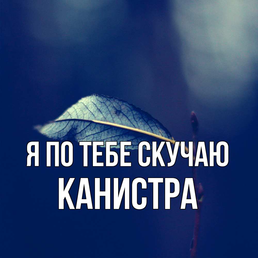 Открытка на каждый день с именем, Канистра Я по тебе скучаю одна ветка 1 Прикольная открытка с пожеланием онлайн скачать бесплатно 