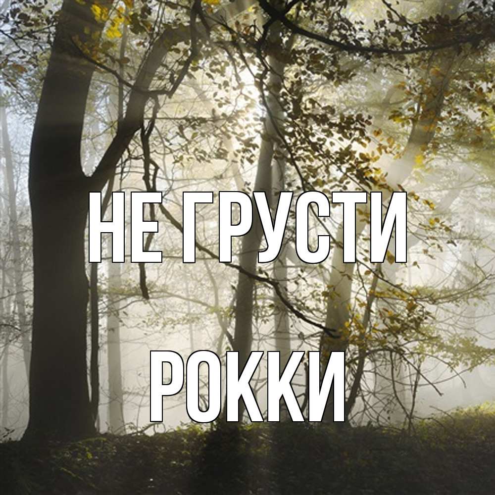 Открытка на каждый день с именем, Рокки Не грусти лес и свет Прикольная открытка с пожеланием онлайн скачать бесплатно 