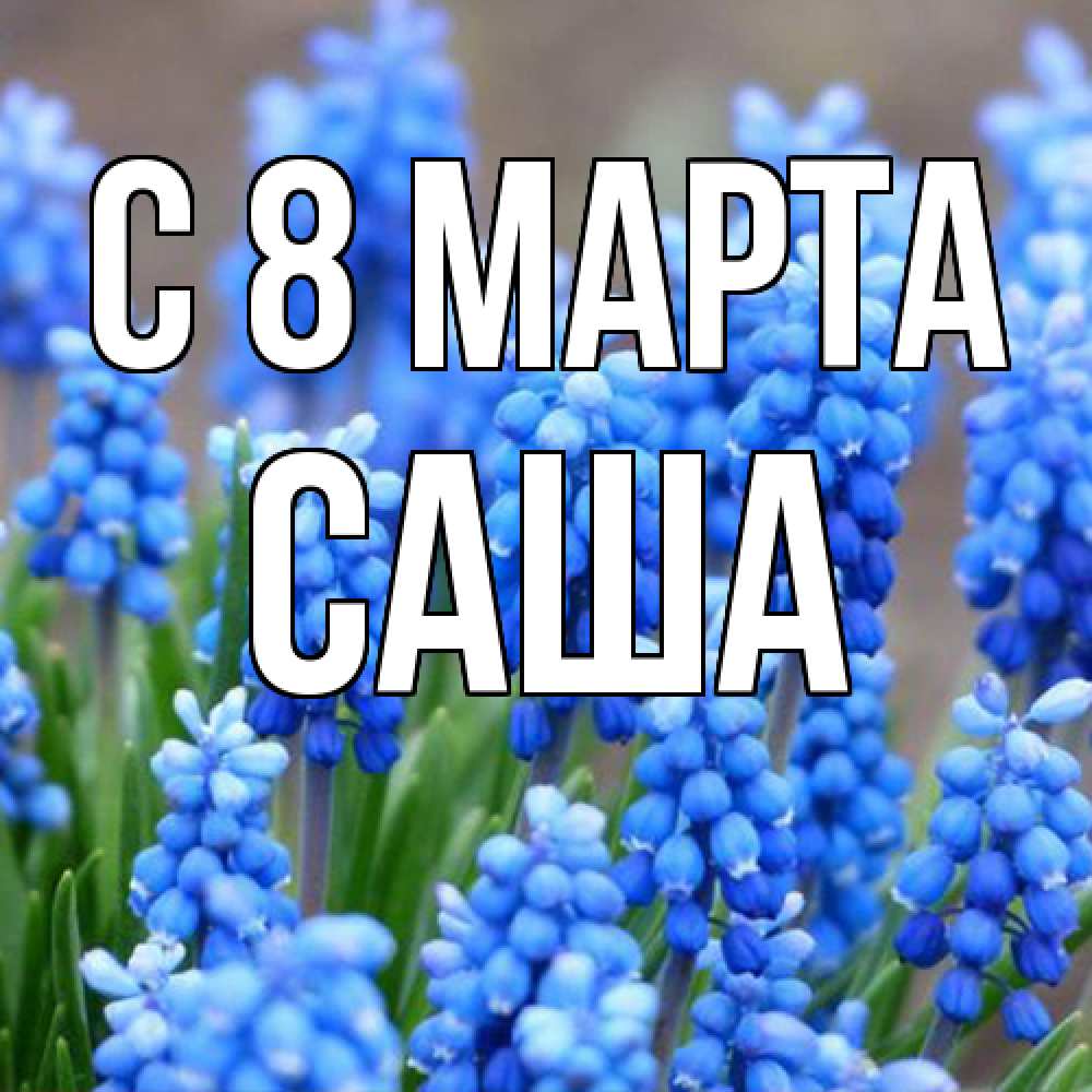 Открытка на каждый день с именем, Саша C 8 МАРТА Поздравительная открытка для женщин с цветами на праздничную дату Прикольная открытка с пожеланием онлайн скачать бесплатно 