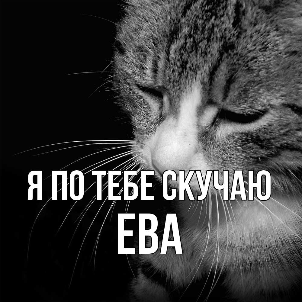 Открытка на каждый день с именем, Ева Я по тебе скучаю мне скучно Прикольная открытка с пожеланием онлайн скачать бесплатно 