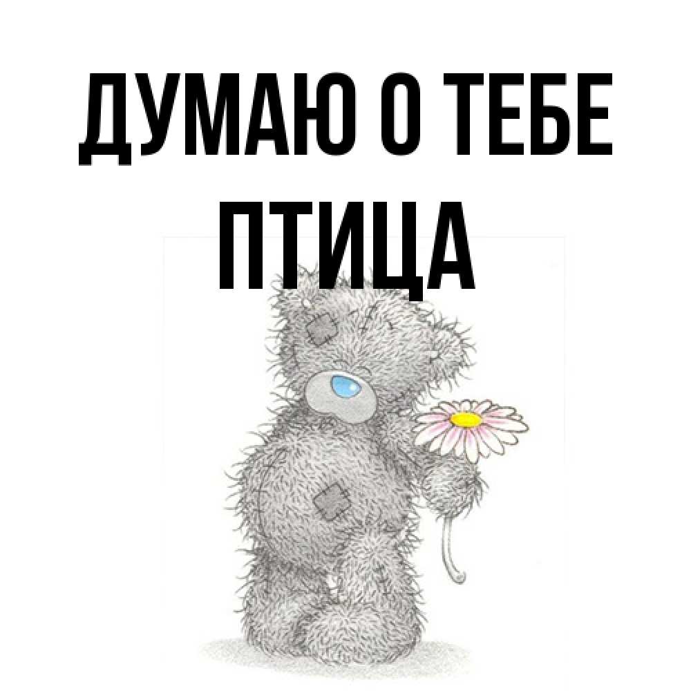 Открытка на каждый день с именем, Птица Думаю о тебе мысли только о тебе Прикольная открытка с пожеланием онлайн скачать бесплатно 