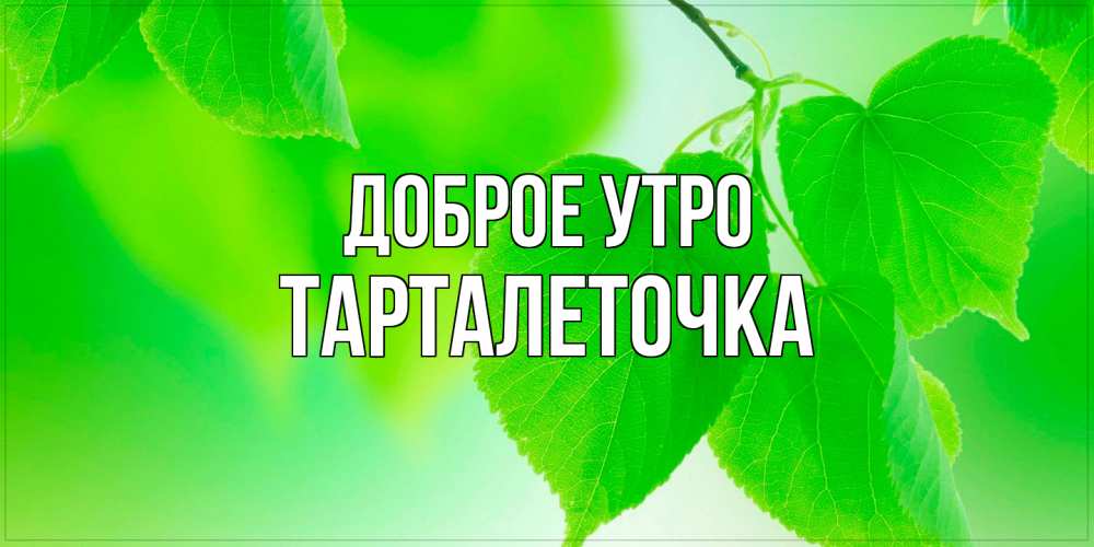 Открытка на каждый день с именем, Тарталеточка Доброе утро доброе утро с березовыми листьями Прикольная открытка с пожеланием онлайн скачать бесплатно 