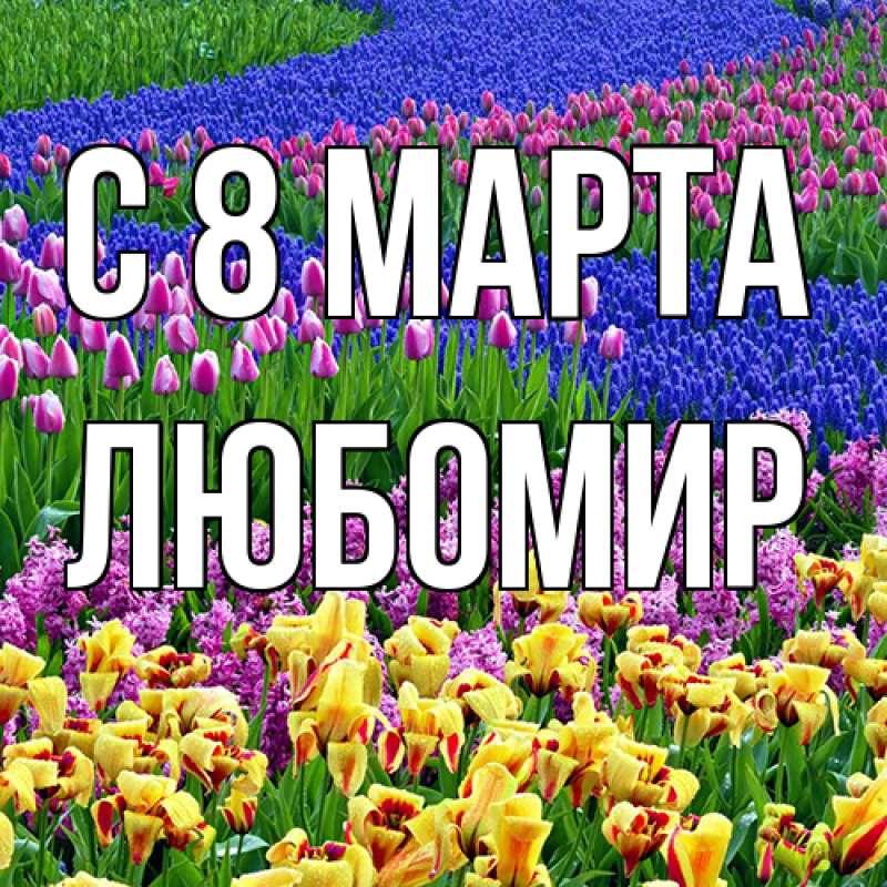 Картинка C 8 МАРТА, Любомир