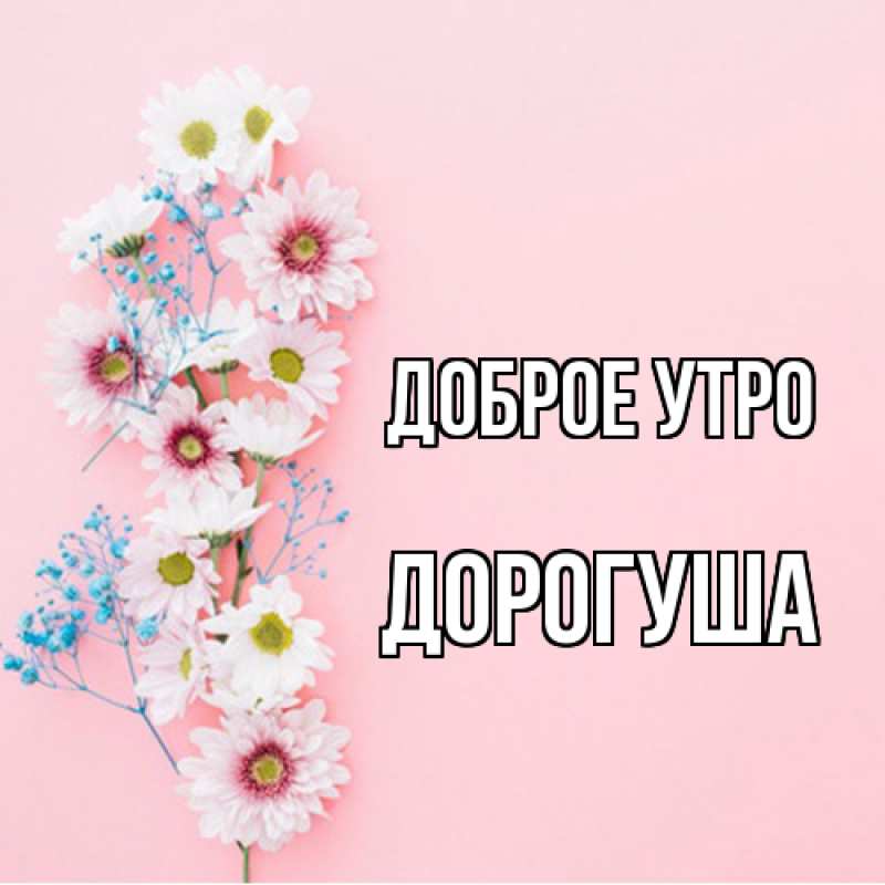 Картинка Доброе утро, дорогуша